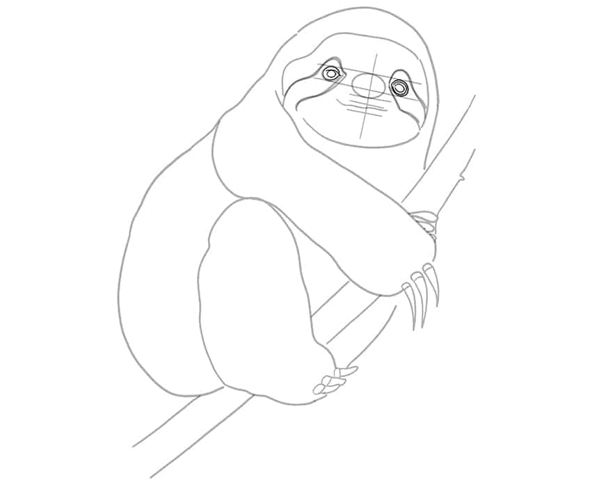 Sloth Drawing 13