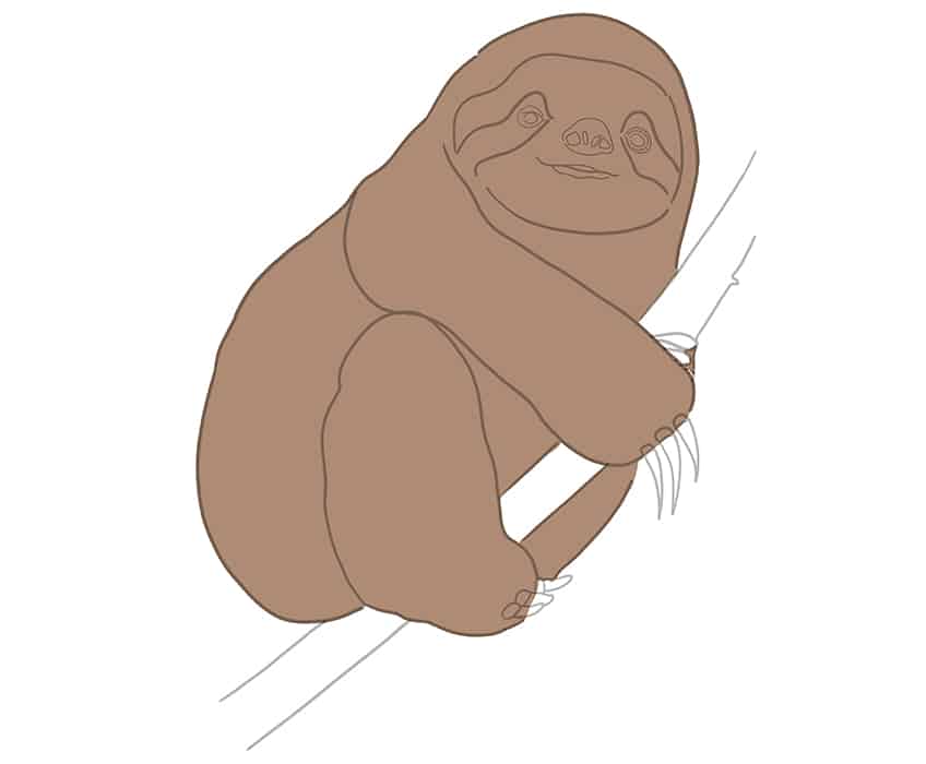 Sloth Drawing 15