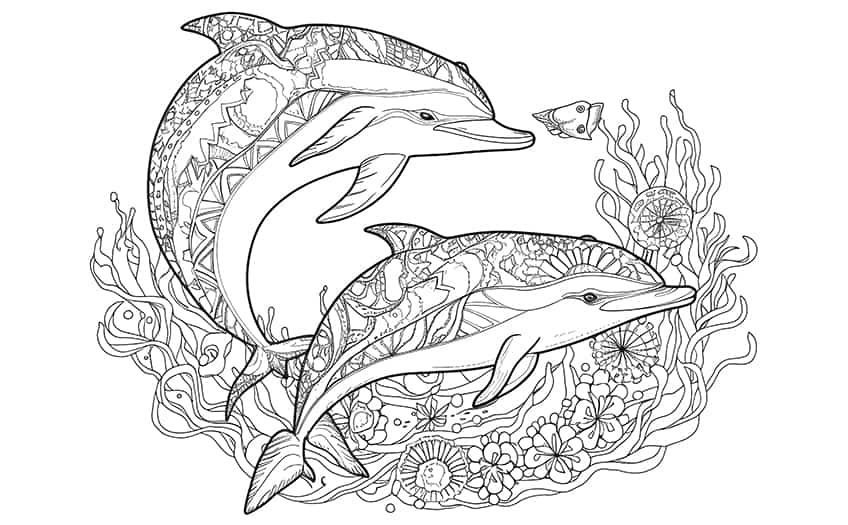 dolphin coloring page 10