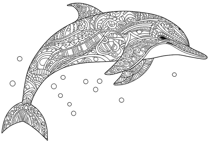 dolphin coloring page 12
