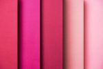 Pink Color - Understanding the Different Pink Color Undertones