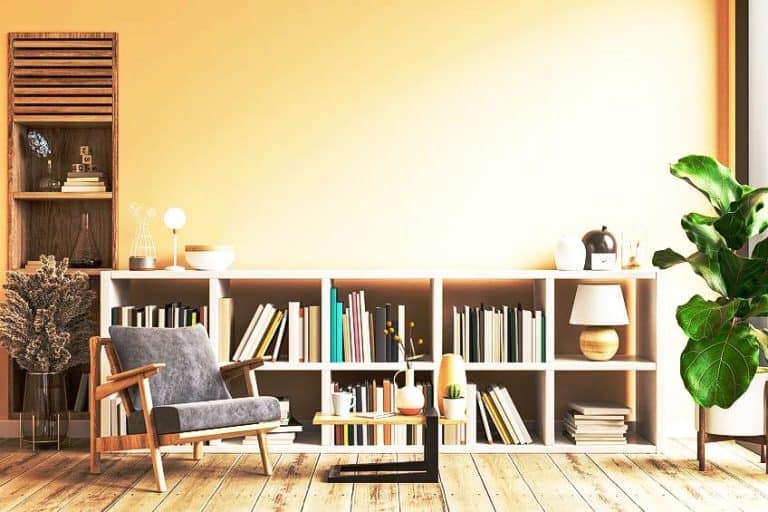 What Color Goes With Cream? Best Combinations to Know