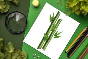 Bamboo Paper Tutorial How to Draw Bamboo - Capturing Nature's Grace on Paper