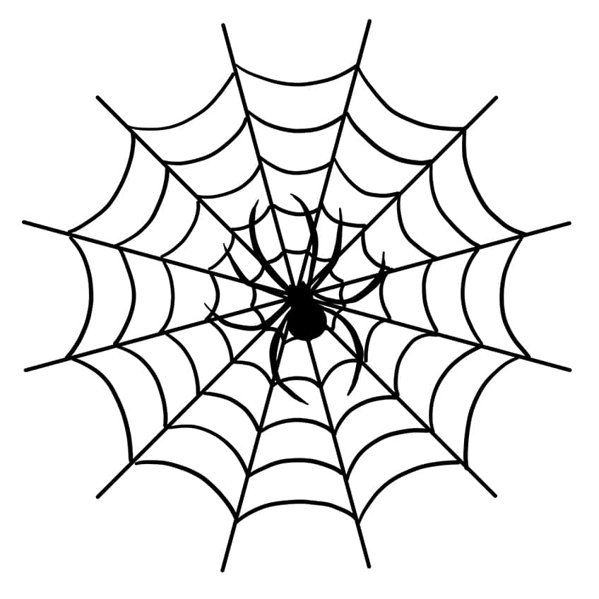 Realistic Spider Web Drawing 07