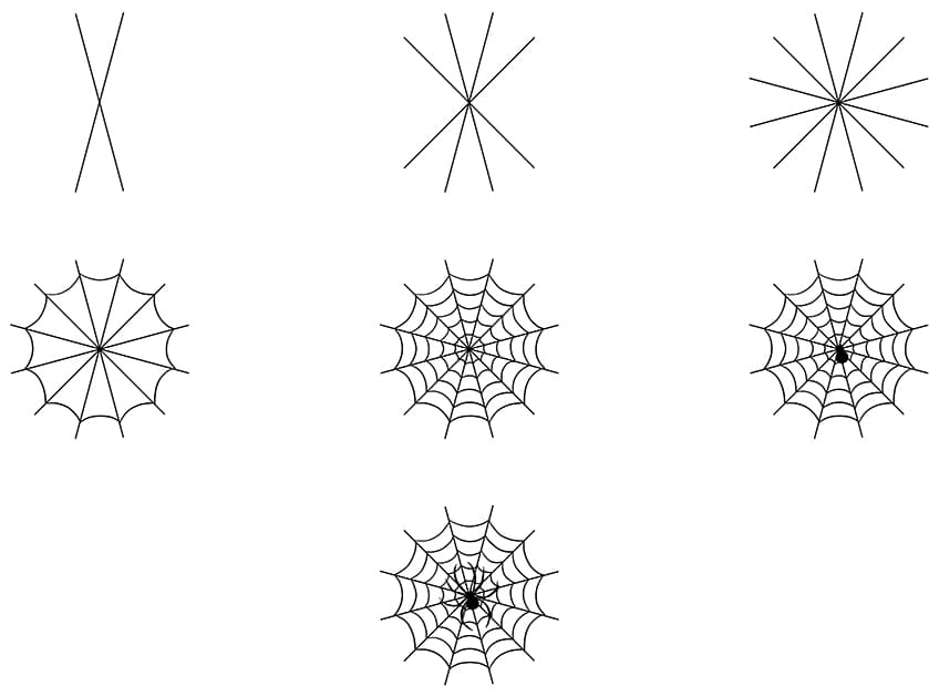 How To Draw a Spider Web Step by Step