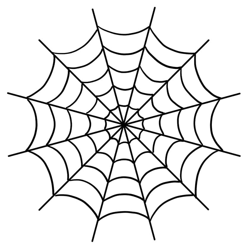 How To Draw a Spider Web Step by Step