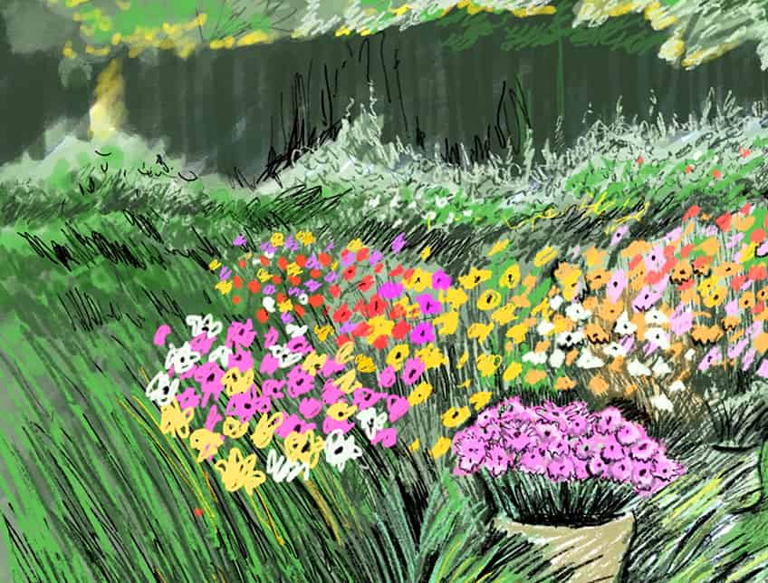 flower bed drawing