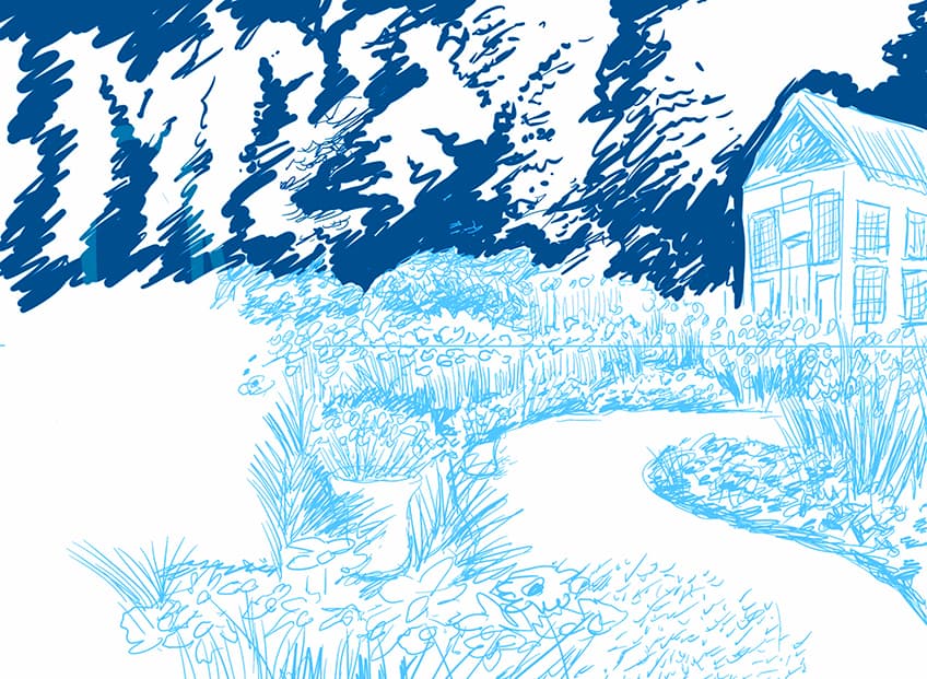 garden drawing 04