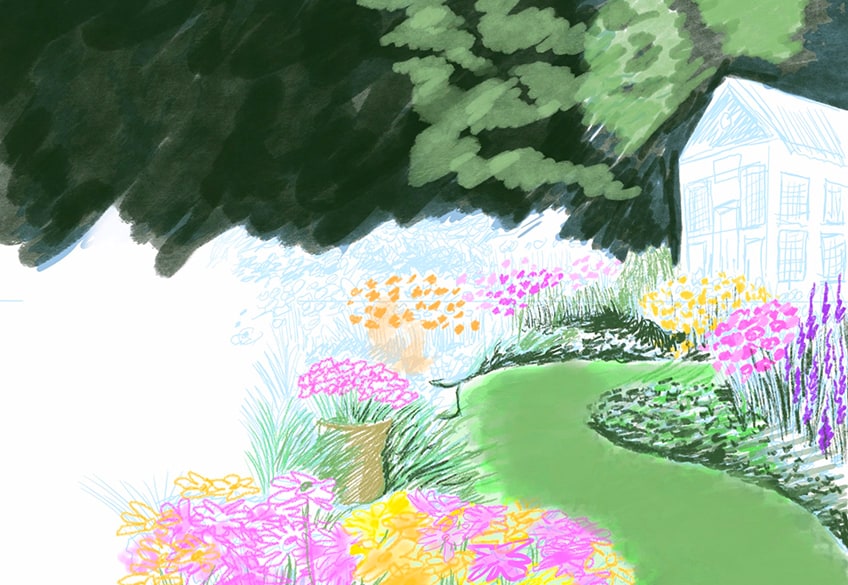 garden drawing 09