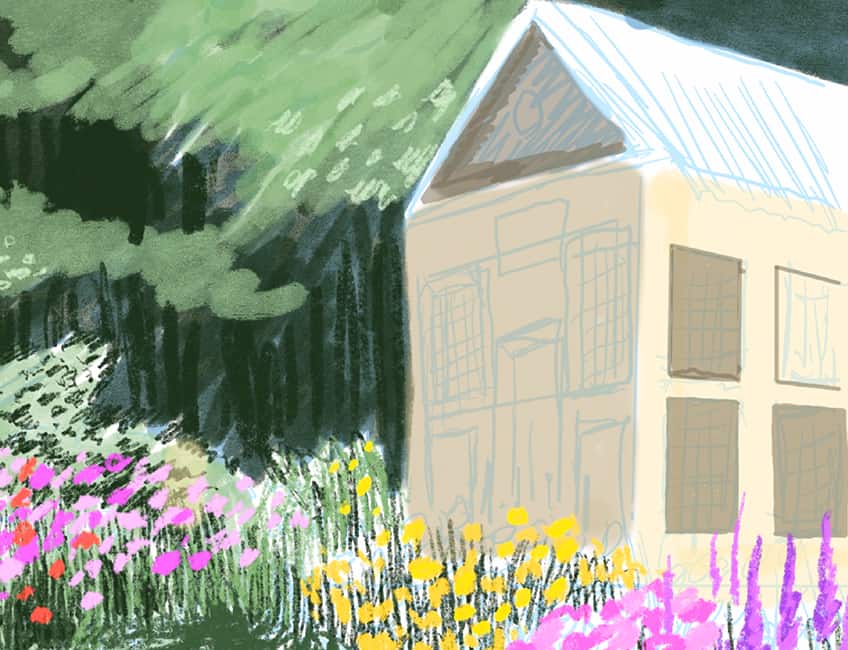 garden drawing 12