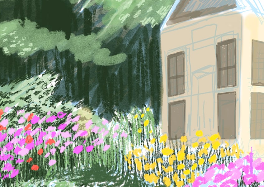 garden drawing 13