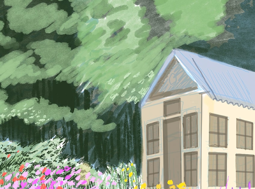 garden drawing 14