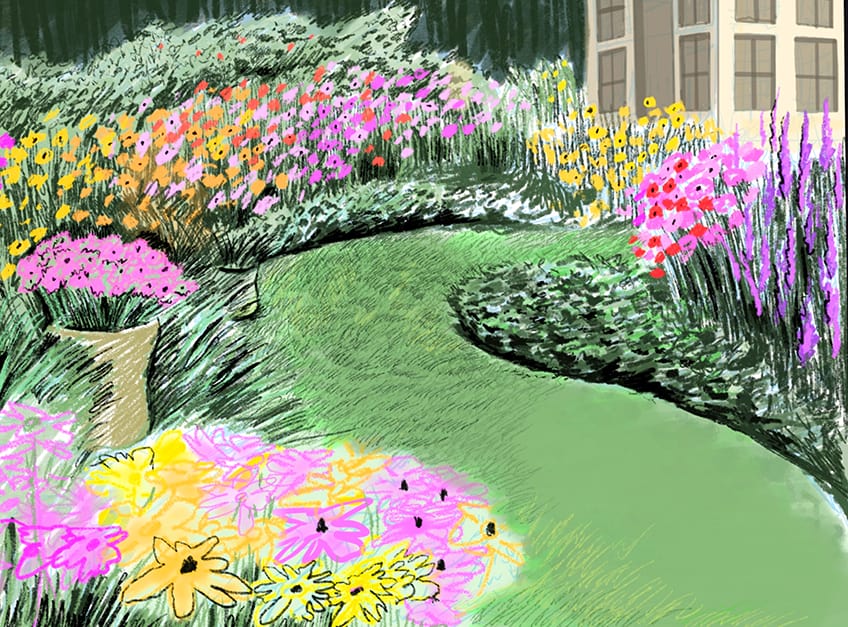 garden drawing 15