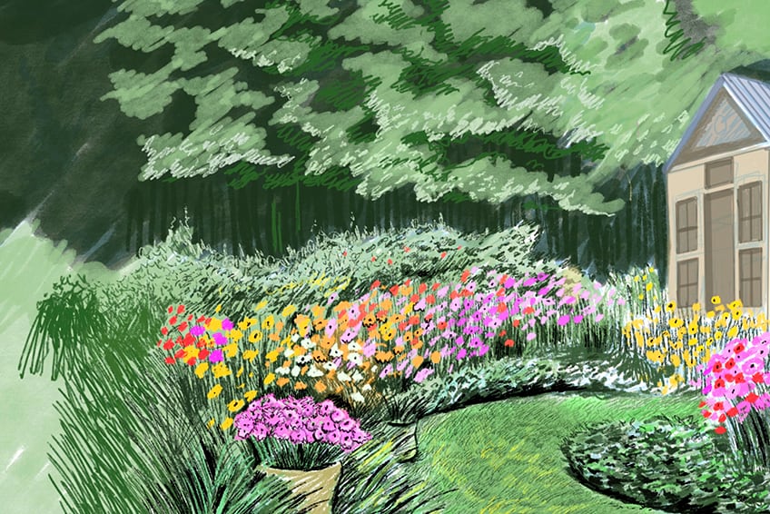 garden drawing 16