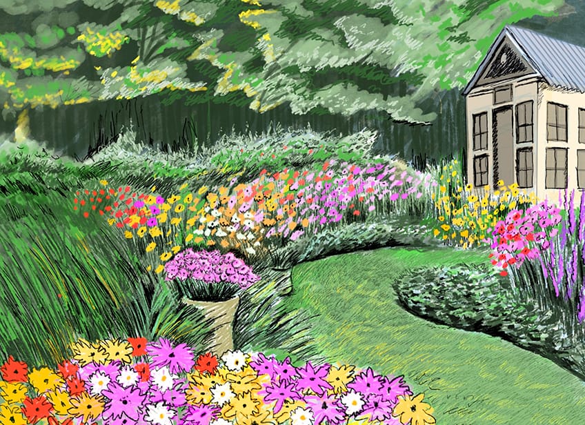 garden drawing 20