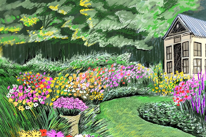 garden drawing