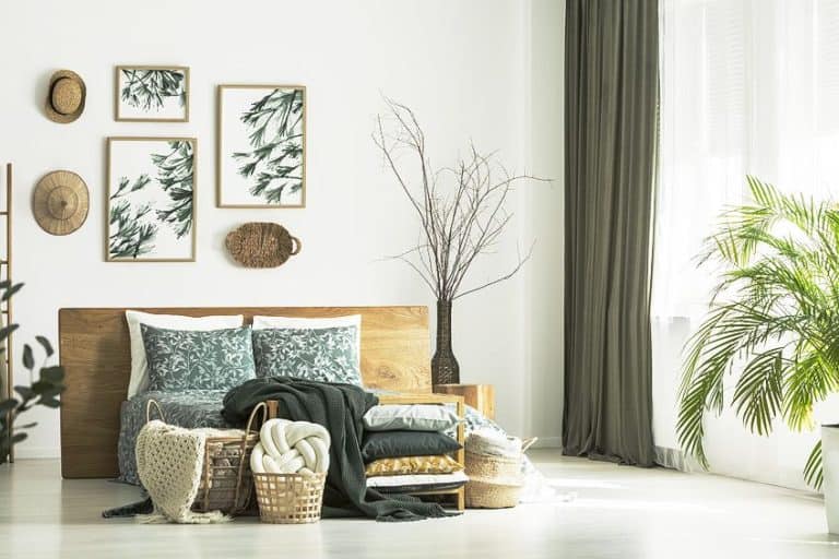 Pistachio Color The Shade of Green That's Gaining Popularity