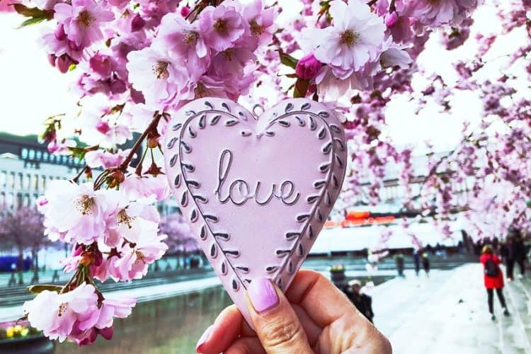 What Color Does Pink and Orange Make? Shades of Peach