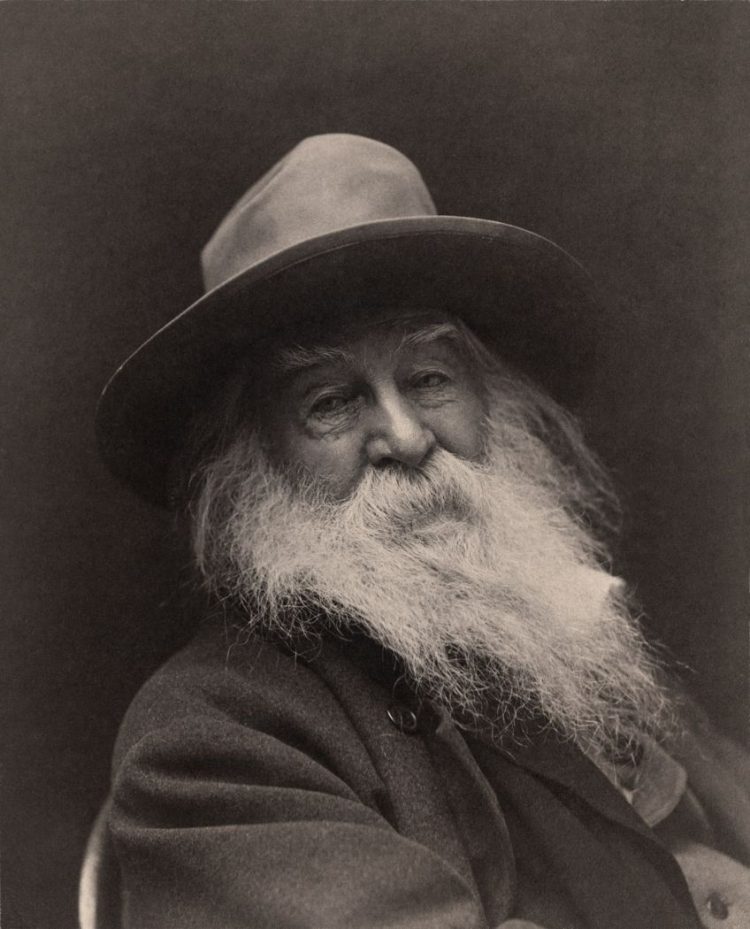 What Is a Free Verse Poem? - When Poetry Breaks All the Rules