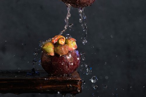 What Is Shutter Speed in Photography? - From Blurs to Crisp Shots