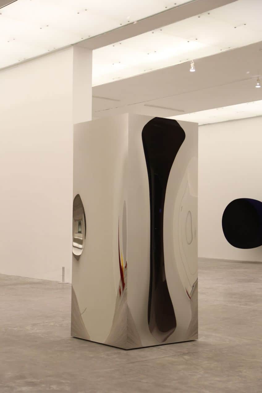 Anish Kapoor Paintings