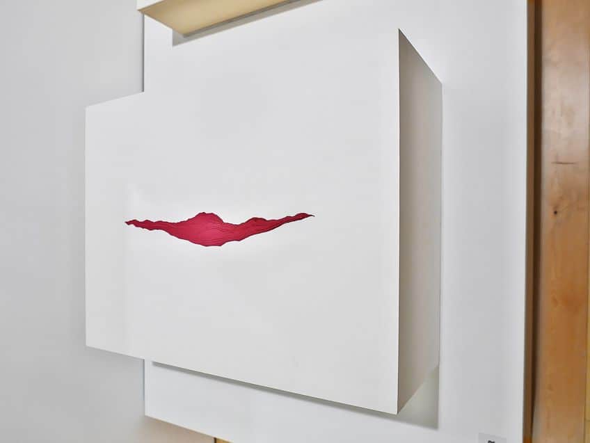 Best Anish Kapoor Paintings