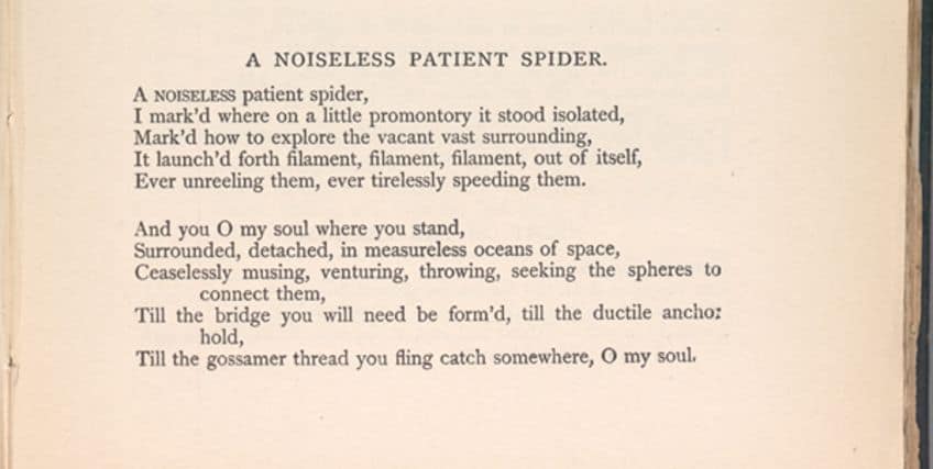 Spider Poems by Walt Whitman