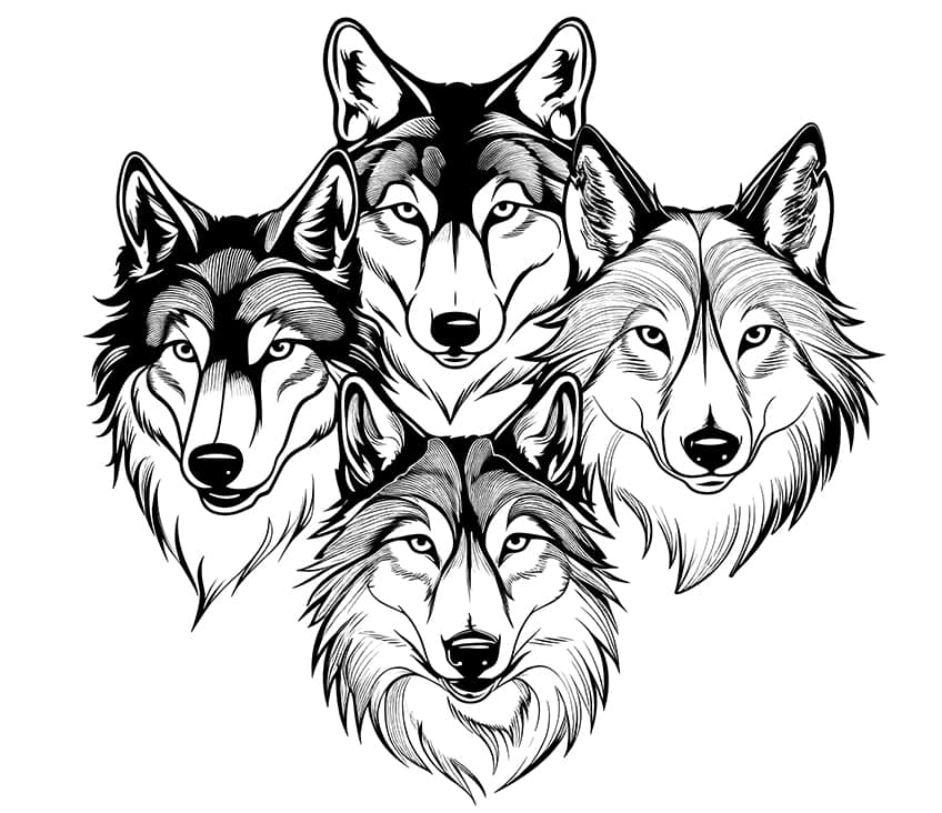 wolf coloring page 24