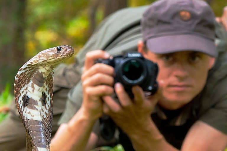 Famous Wildlife Photographers – 15 Wildlife Wonders