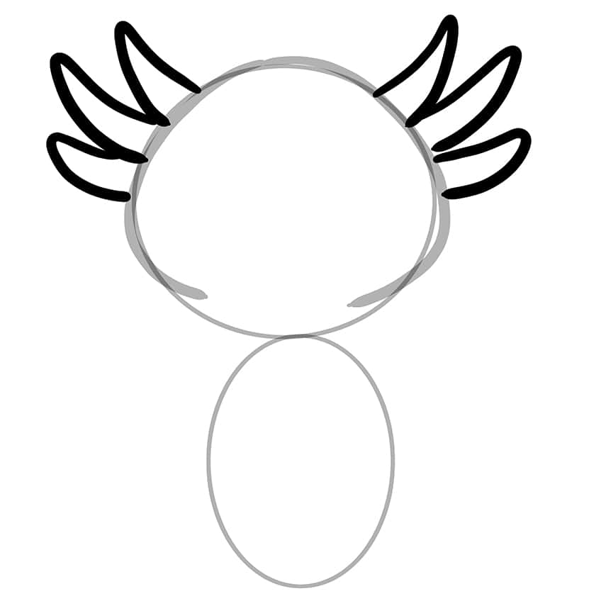 axolotl drawing 04