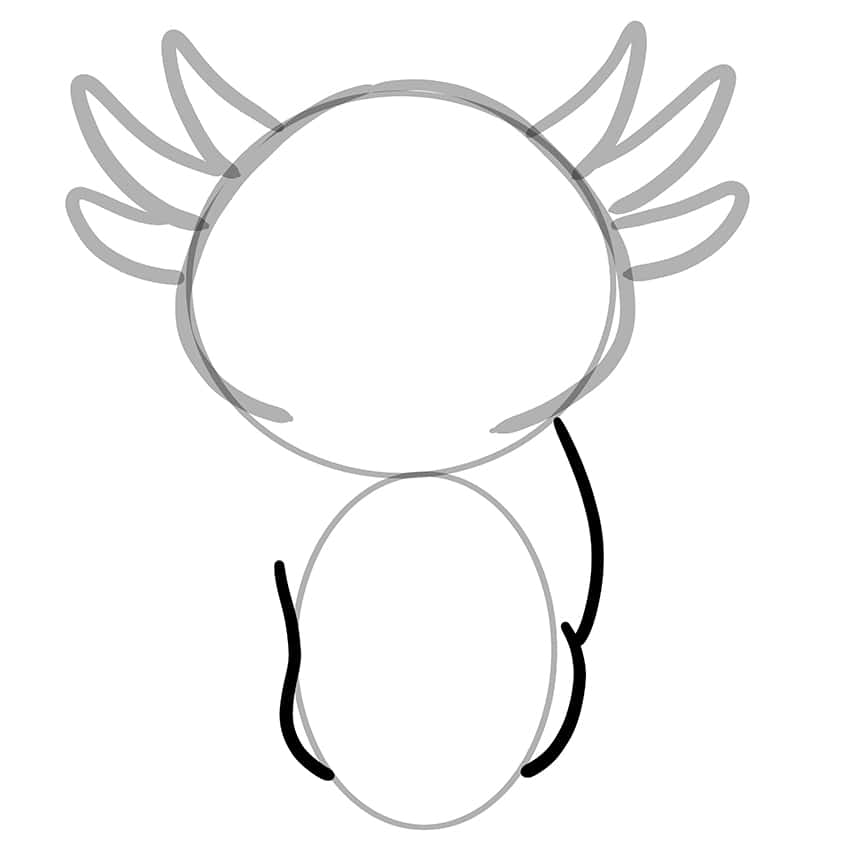 axolotl drawing 05