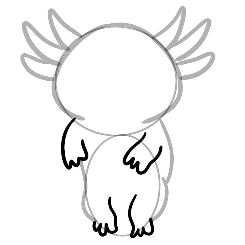 axolotl drawing 06