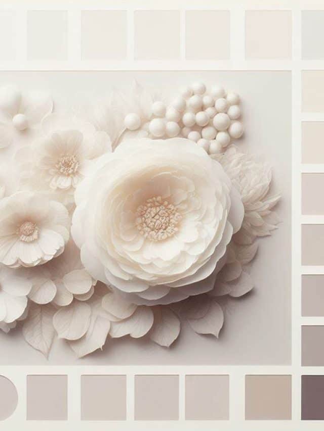 What Colors Go With White?- Discover This Color Palette!