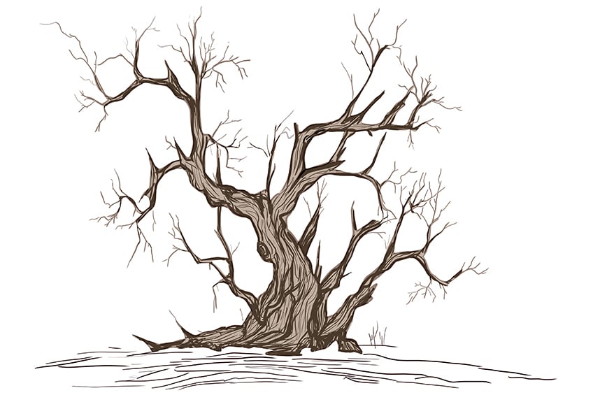 dead tree drawing 10