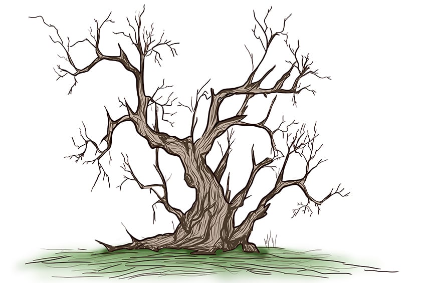dead tree sketch 12