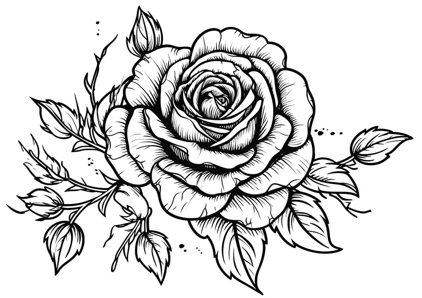 rose coloring page 26