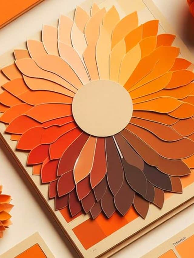 Orange Color Meaning – Discover This Color!