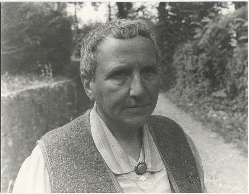 Subject of Portrait of Gertrude Stein by Pablo Picasso
