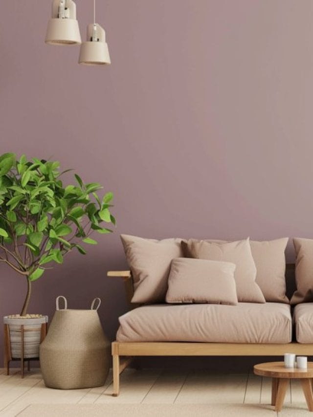Colors That Go With Lavender – Discover This Color Palette!
