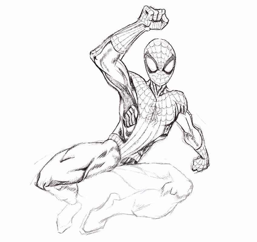 spiderman drawing 18
