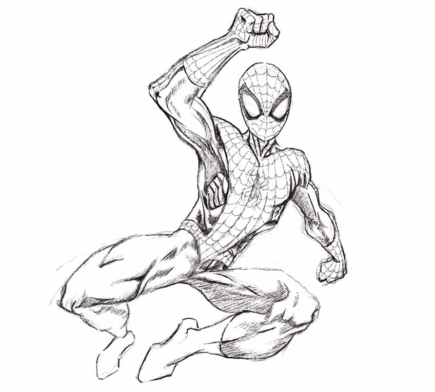 spiderman drawing 19