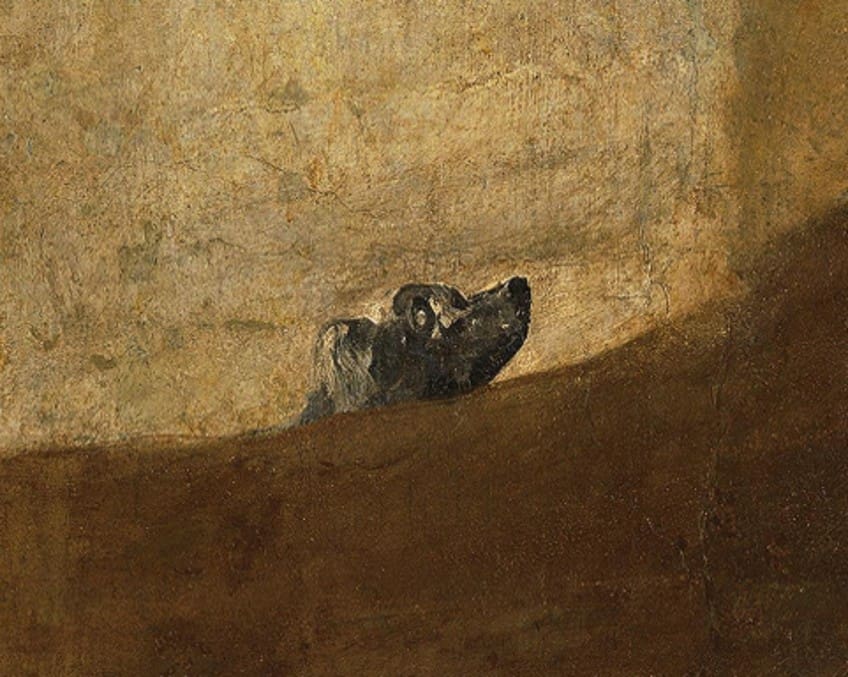 Close Up of The Dog by Francisco Goya