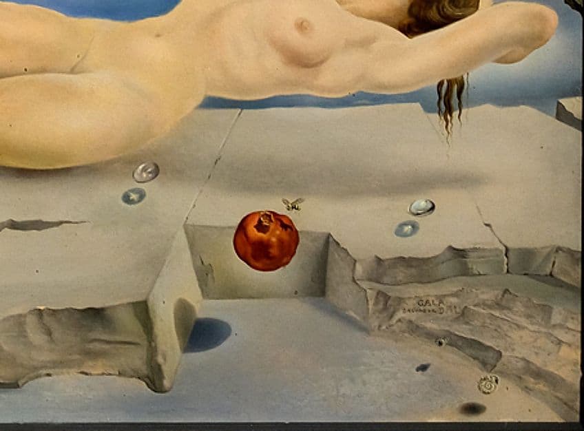 Dream Caused by the Flight of a Bee by Salvador Dali Symbolism
