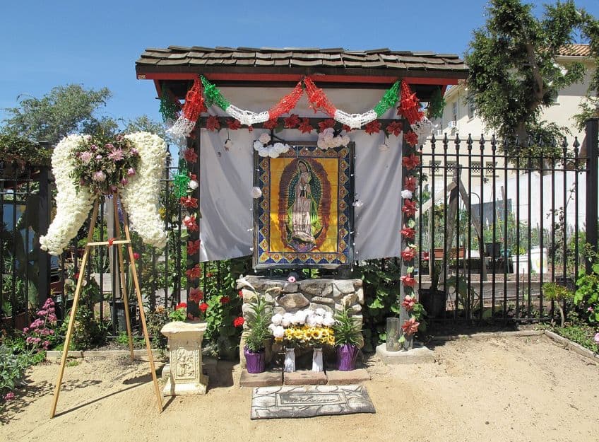 Explore Virgin of Guadalupe in Art