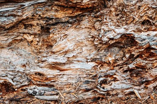 Pattern in Photography - Capturing Visual Rhythms in Images