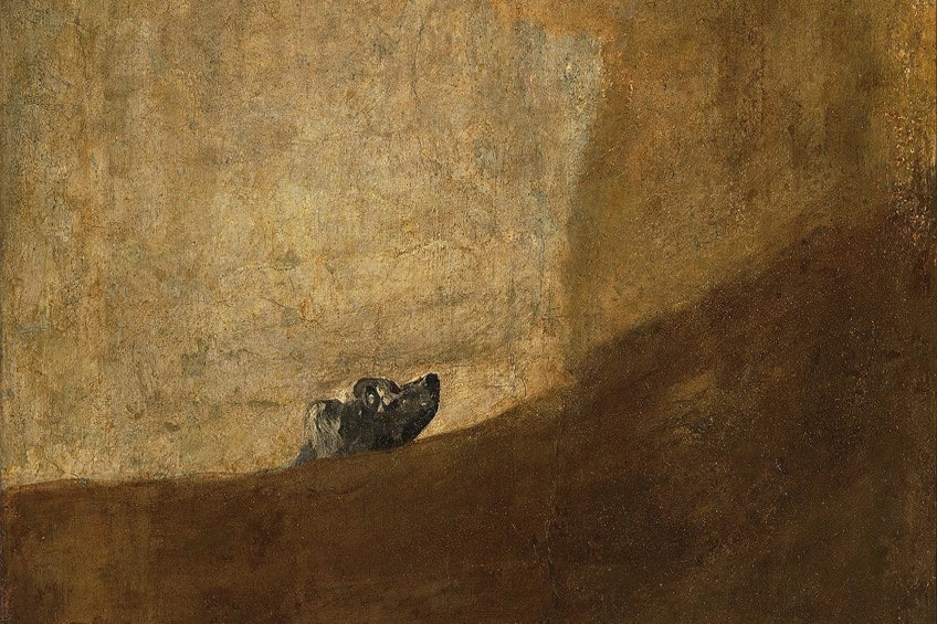 The Dog by Francisco Goya