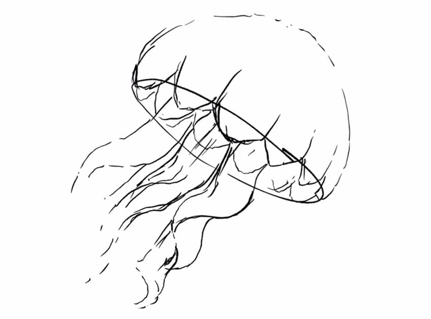 jellyfish drawing 02