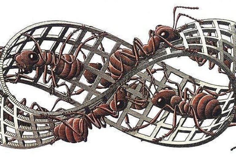 “Moebius Strip II” by Maurits Cornelis Escher – Illusion in Art