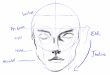 Face Proportions Drawing - Learn How to Create Facial Realism