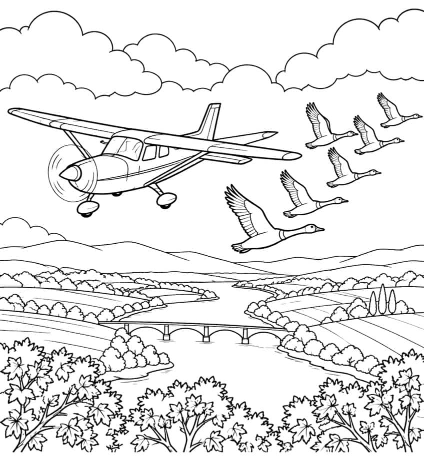 Coloring page of a small plane flying beside geese over a river valley with a bridge